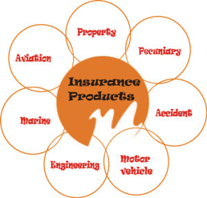 Insurance Products