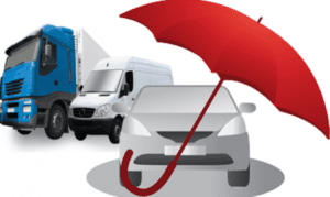 Motor Vehicle Insurance