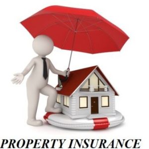 Property Insurance